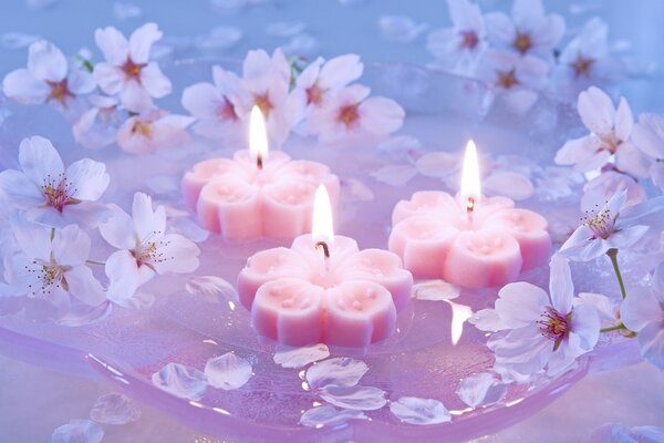 Candles floating in water with flowers