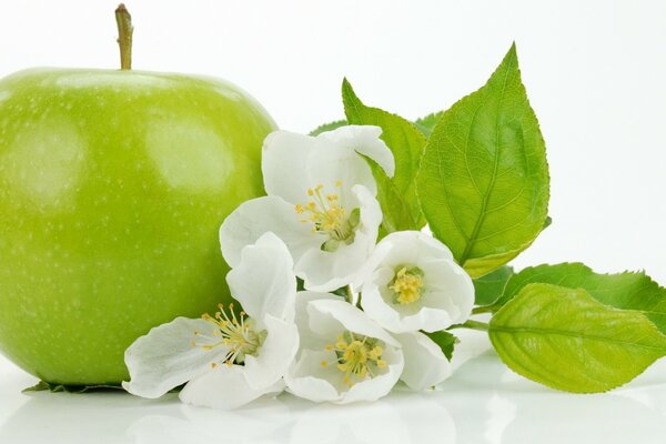 Der Apfel liegt zusammen mit weißen Blüten