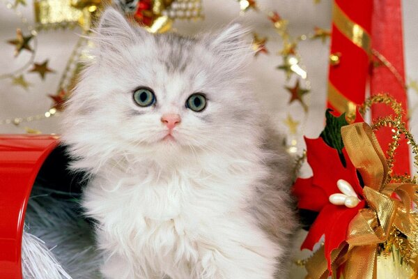 Gato sentado al lado de los regalos de Navidad