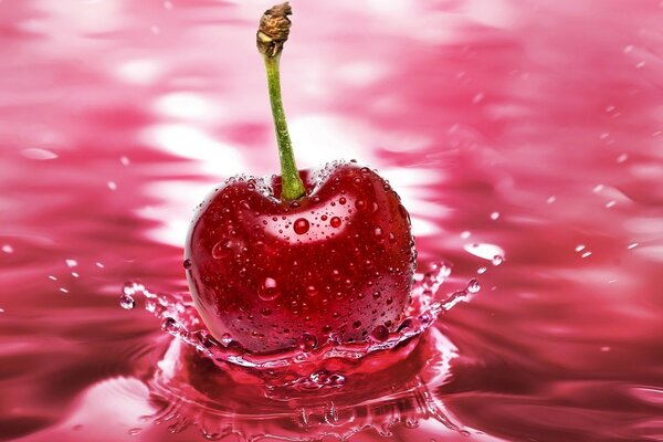 Falling red cherry and splashing water