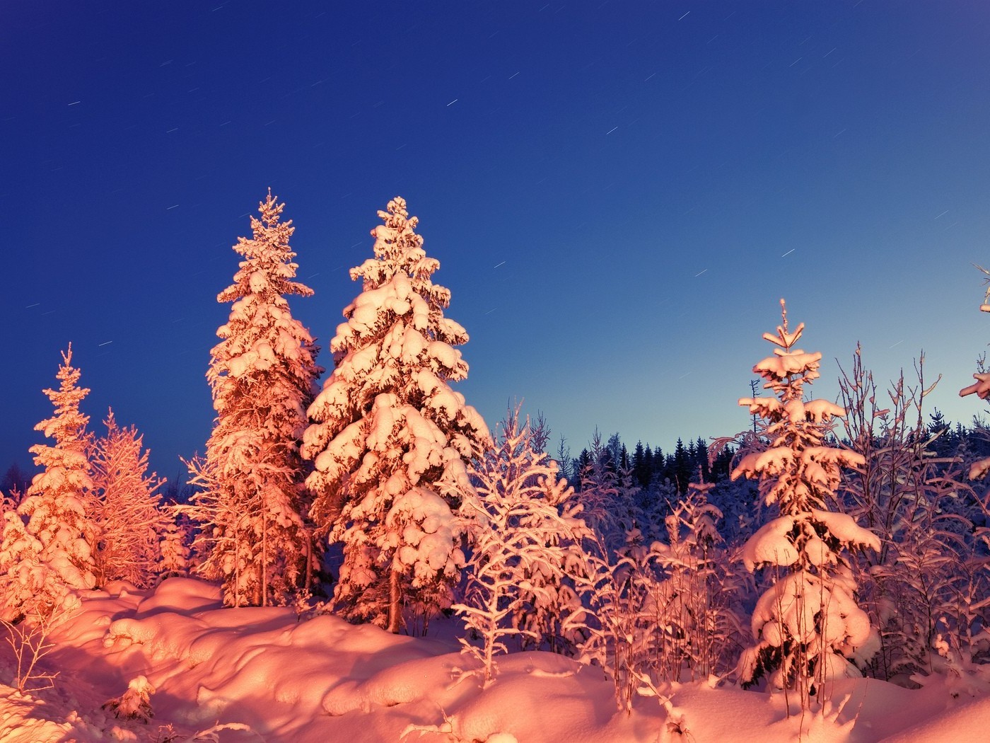 tramonto e alba neve inverno albero legno gelo freddo natura all aperto conifere natale evergreen pino paesaggio stagione ghiaccio