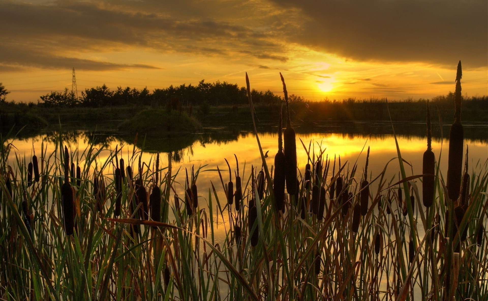 pôr do sol e amanhecer pôr do sol amanhecer água reed reflexão lago marcha sol paisagem natureza à noite ao ar livre céu grama anoitecer rogoz bom tempo zonas húmidas pântano