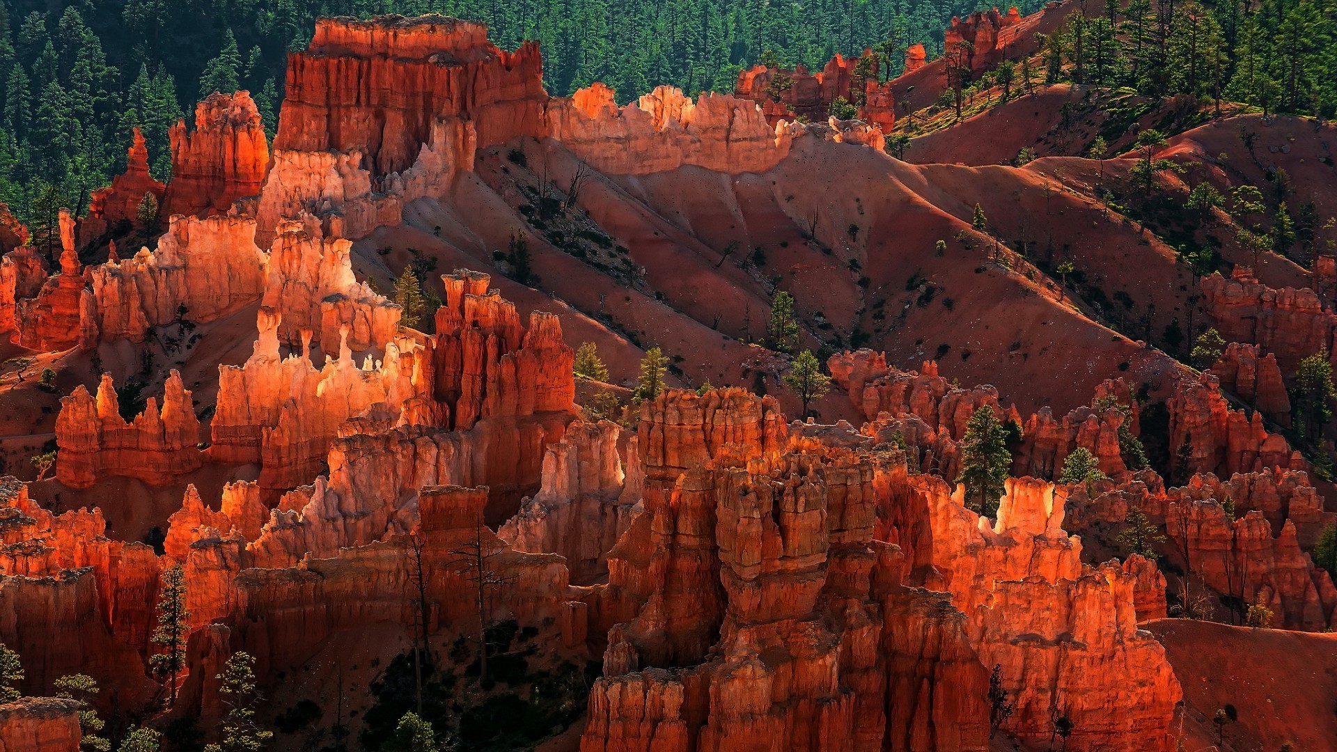 the canyons outdoors canyon sandstone travel geology erosion nature landscape sunset scenic rock