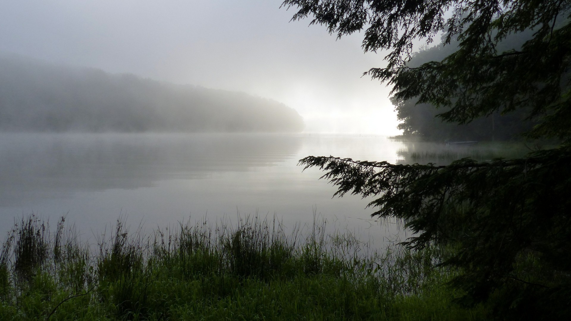 lake fog mist landscape water dawn nature reflection tree river sunset sky