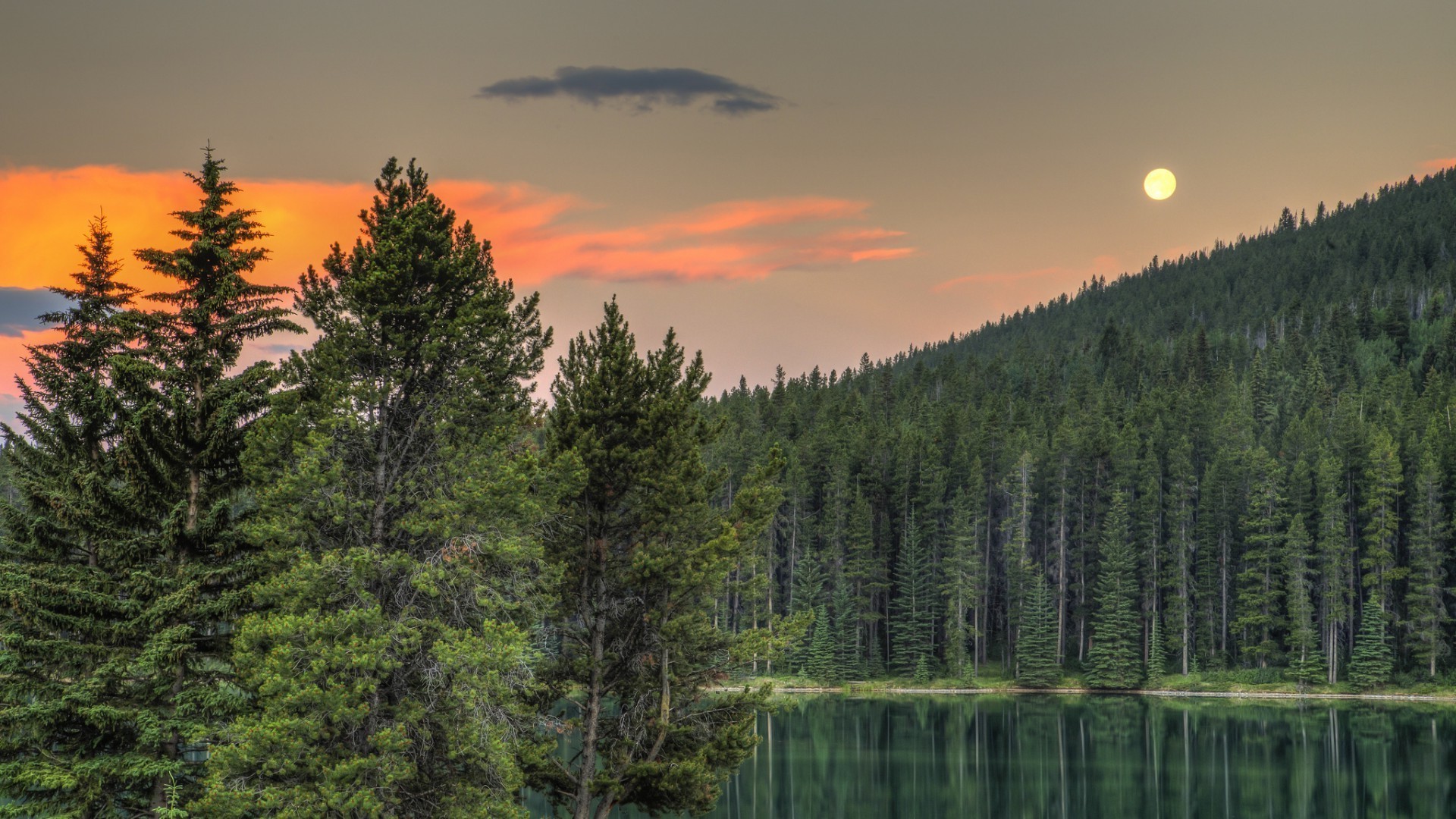 coucher de soleil et aube nature bois à l extérieur arbre automne conifères eau aube paysage lac evergreen sauvage sang-froid ciel voyage feuille