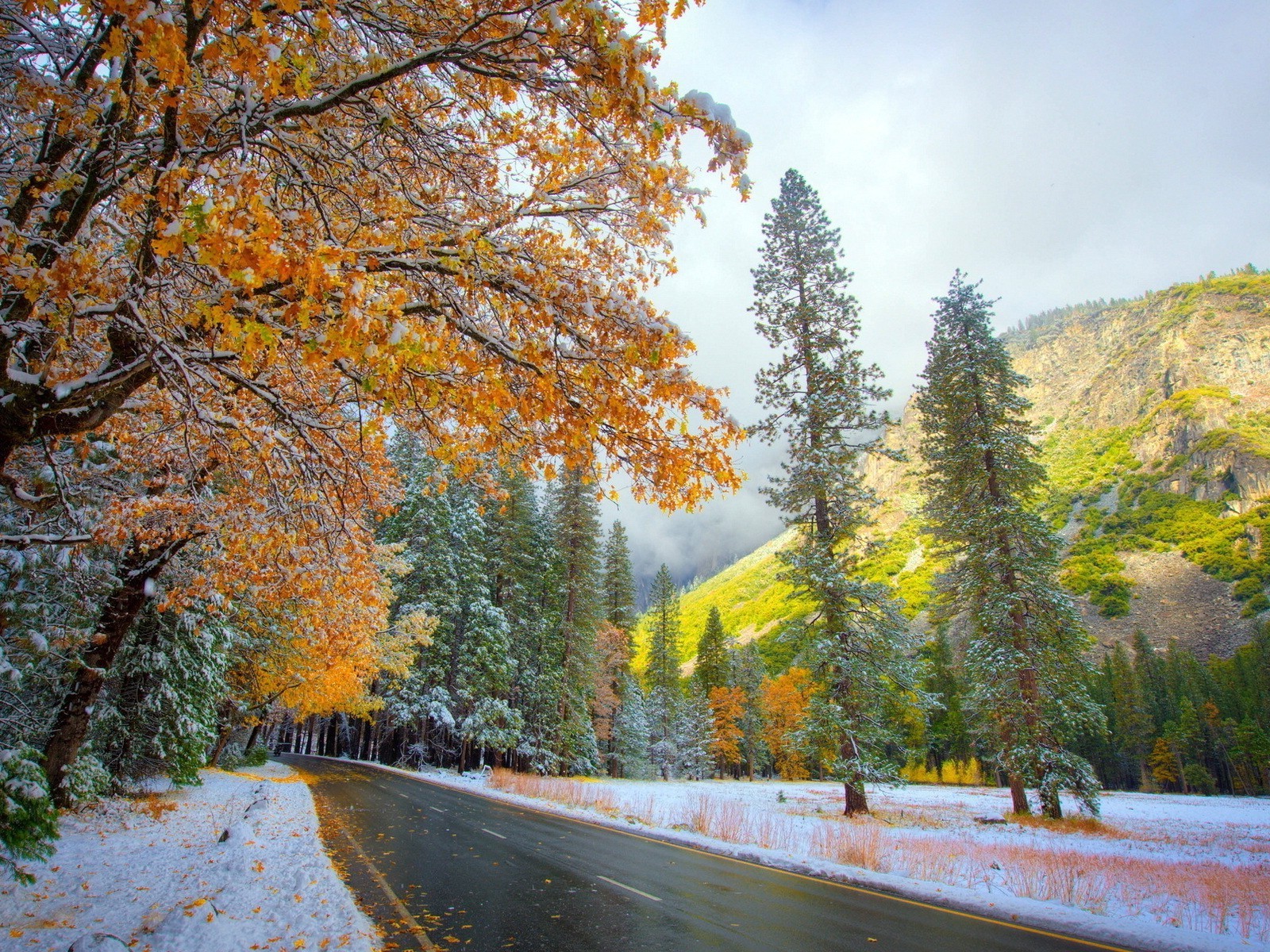 bosque otoño árbol hoja madera paisaje naturaleza temporada carretera escénico parque paisaje guía al aire libre escena rural buen tiempo medio ambiente nieve campo