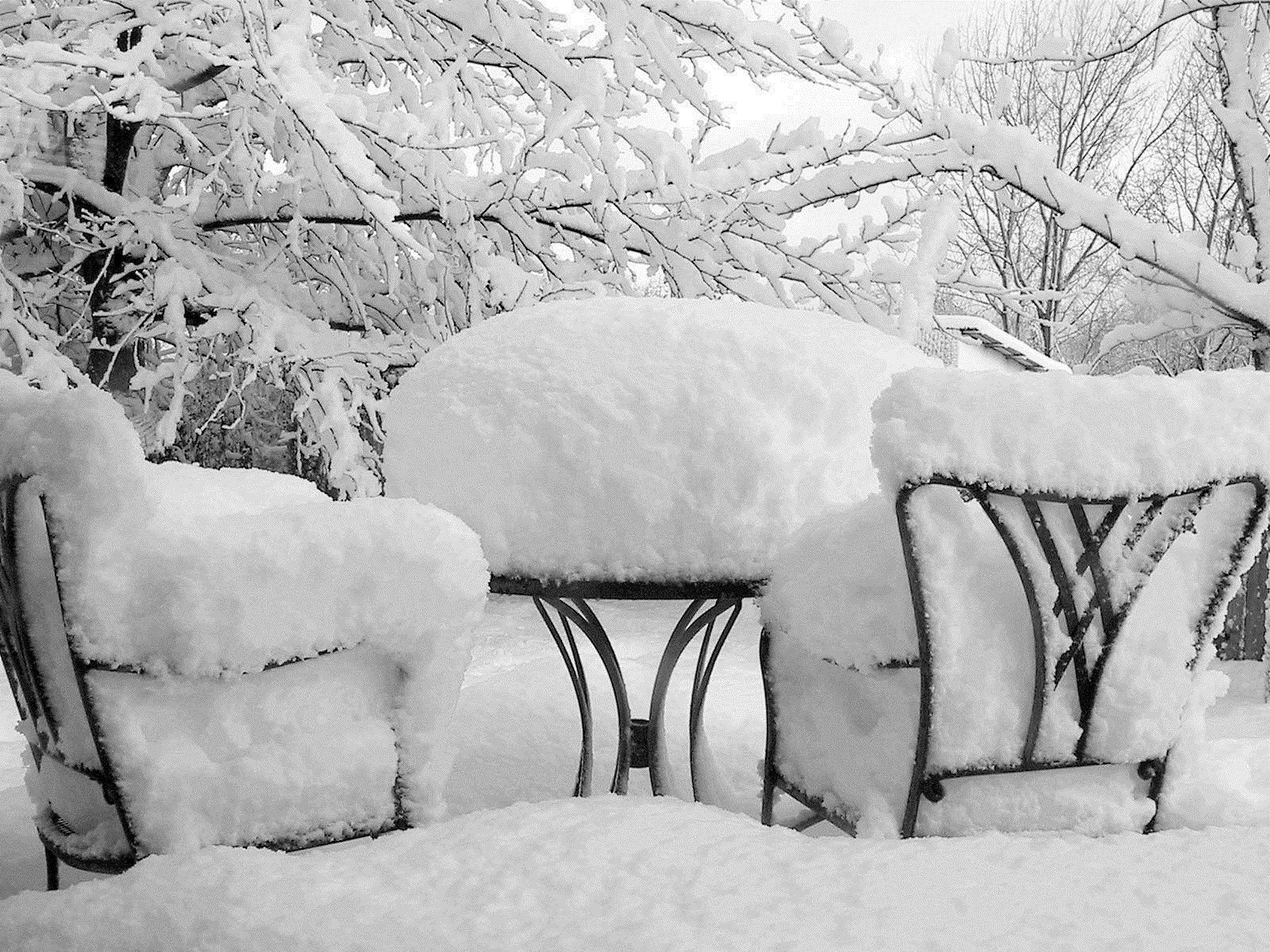 hiver neige gel froid congelé glace tempête de neige météo bois bois neige-blanc à l extérieur saison meubles nature