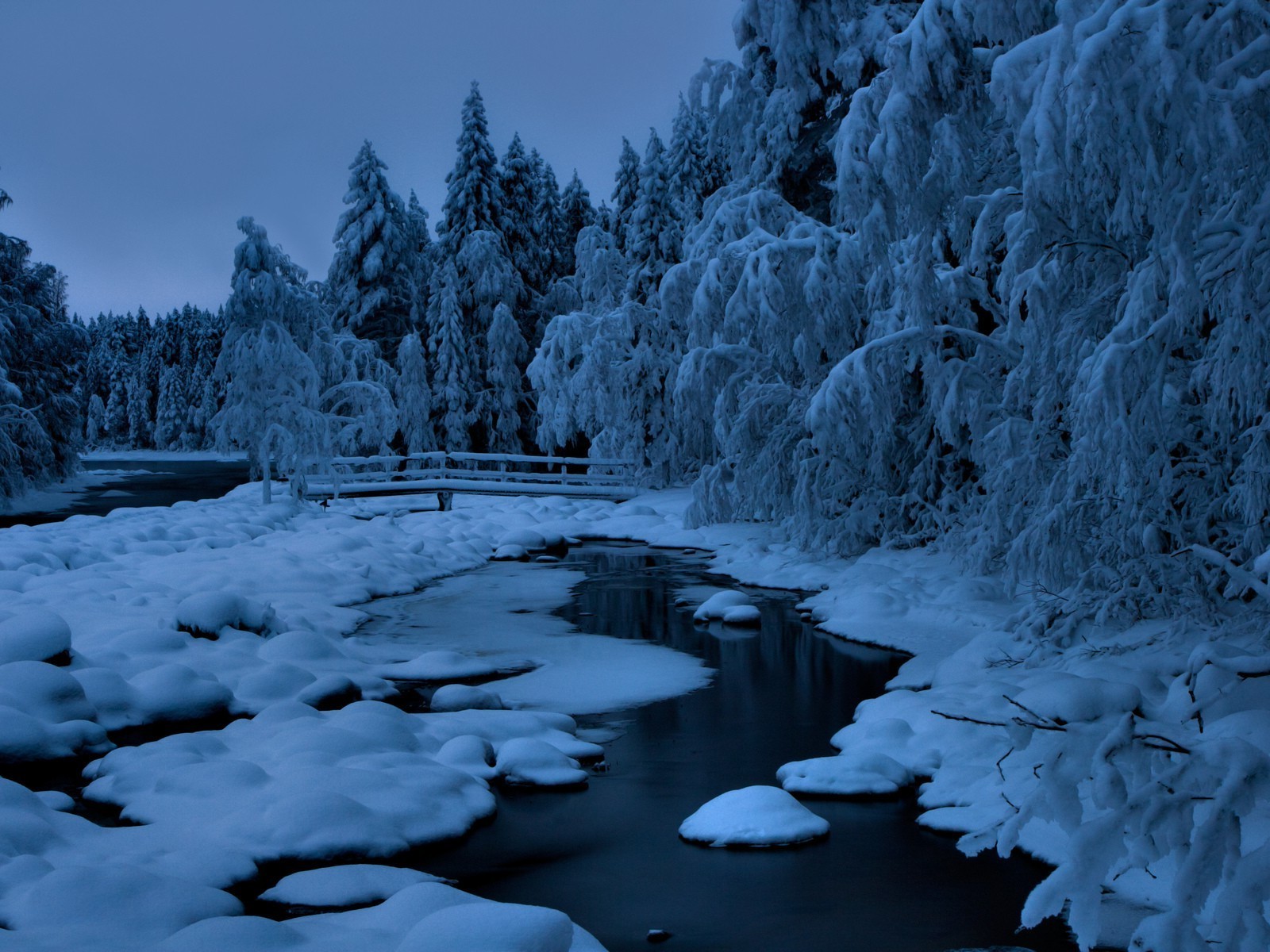 fiumi stagni e torrenti stagni e torrenti neve inverno ghiaccio freddo gelo legno congelato natura acqua paesaggio all aperto gelido albero fiume