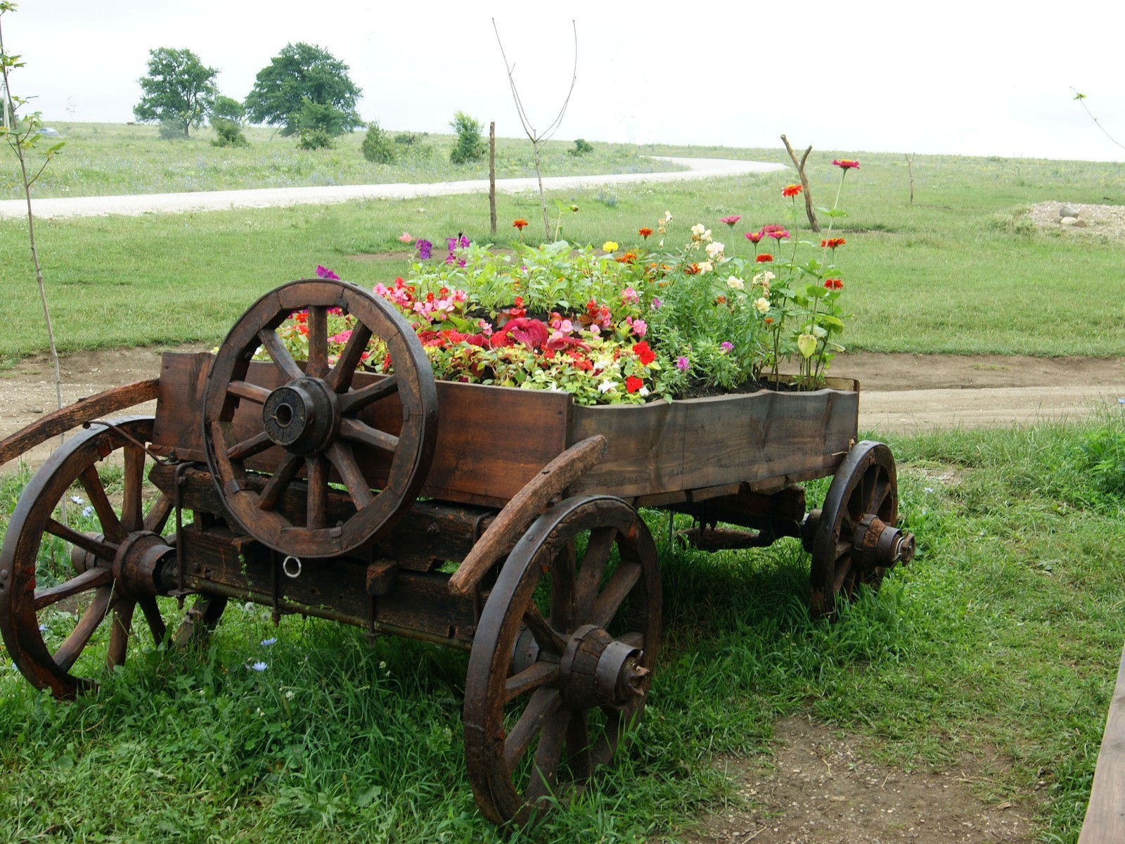 campi prati e valli fattoria agricoltura erba carrello rurale legno estate legno carro trasporto campagna giardino