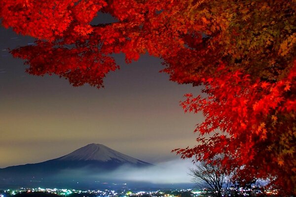 Mahogany on the background of mountains