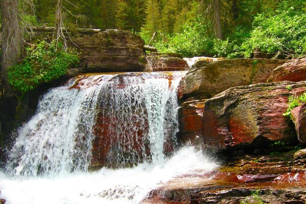 Fiume di montagna nel profondo della foresta