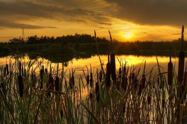 Beautiful and juicy sunset on the water