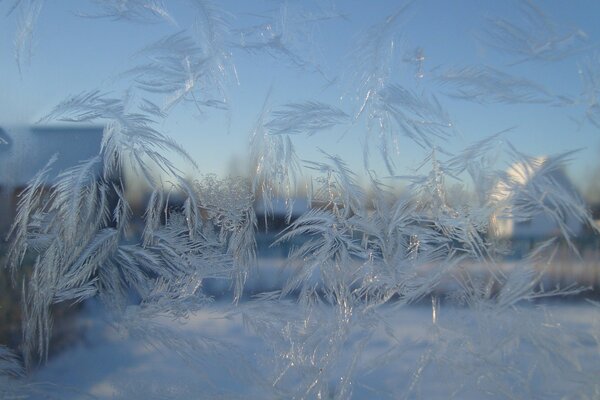 Frostige Muster auf Glas im Winter