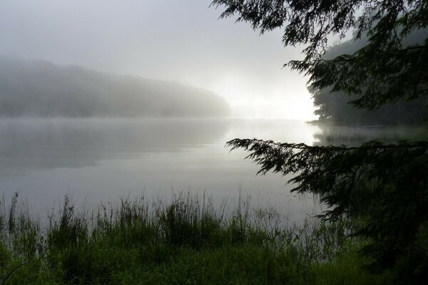 Niebla sobre el lago en la mañana de verano