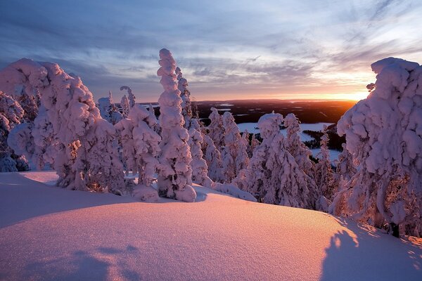 Schöner Sonnenuntergang im verschneiten Wald