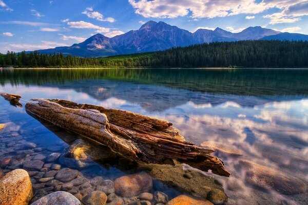 Naturaleza tranquila junto a un lago limpio