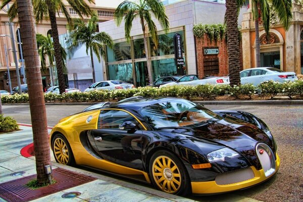 Sports car on the road next to palm trees