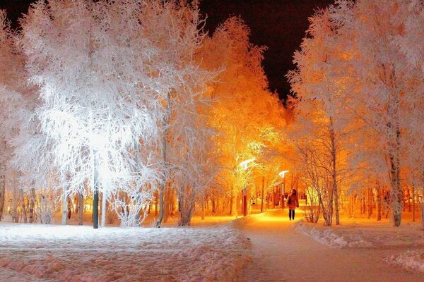 Giorno gelido inverno bellezza