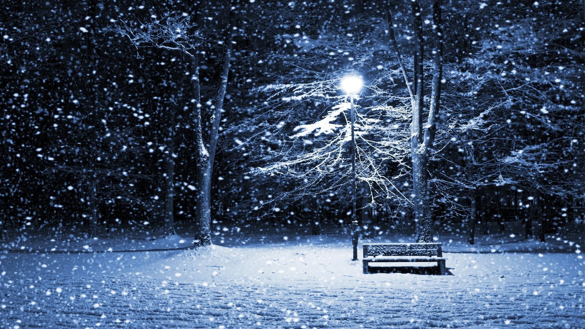 inverno neve frio natureza geada temporada gelo árvore tempo congelado ao ar livre paisagem desktop