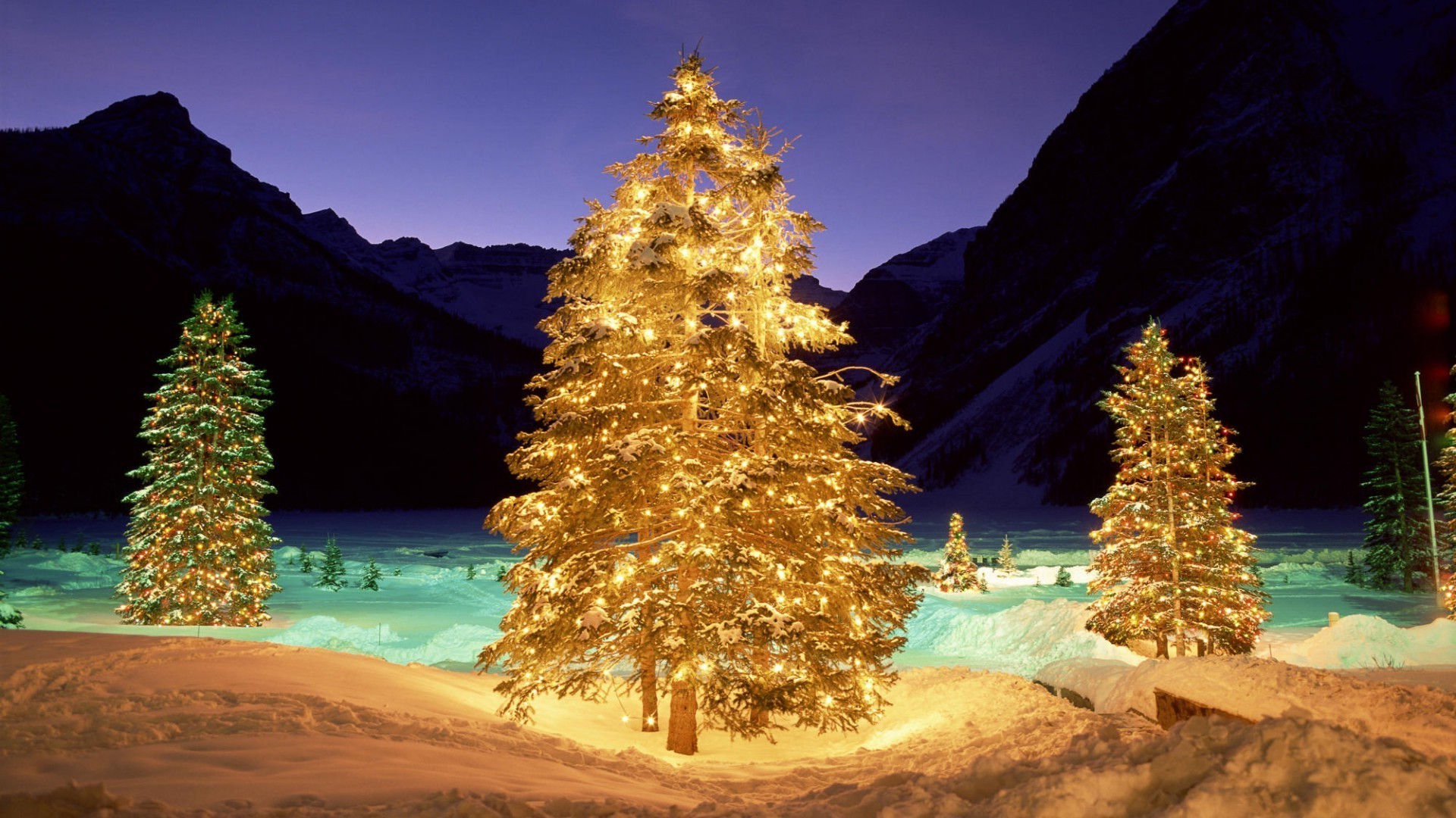 neujahr reisen wasser im freien baum natur himmel landschaft landschaftlich