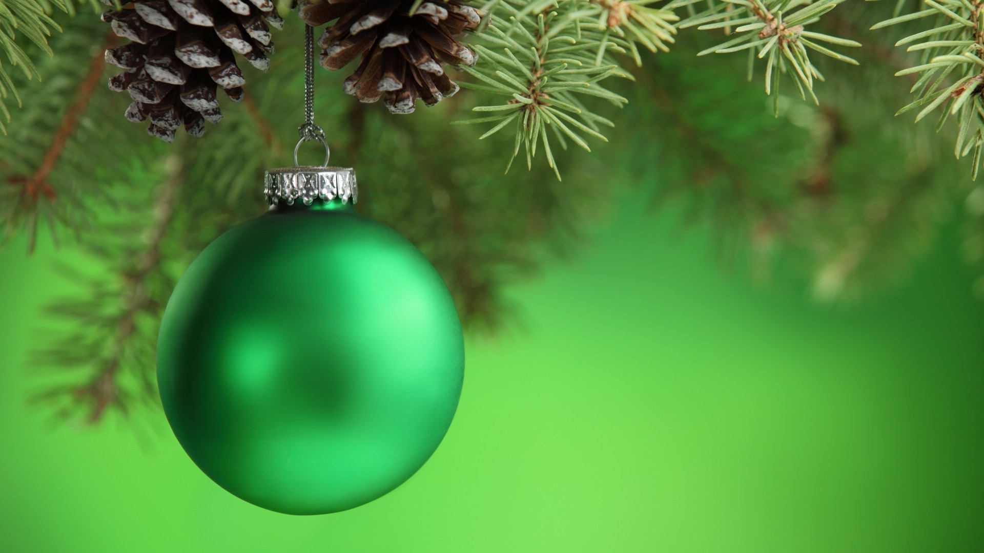 новый год рождество зима висит сосна пихта дерево светит украшения мяч иглы ели эвергрин мерри блестят хвойные филиал побрякушки витиеватый дизайн интерьера