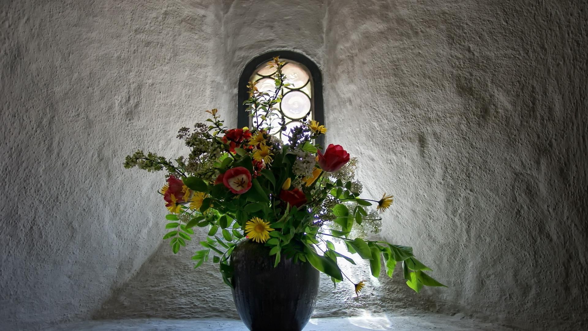 en florero o maceta flor pared hoja viejo decoración arquitectura rosa vintage luz naturaleza