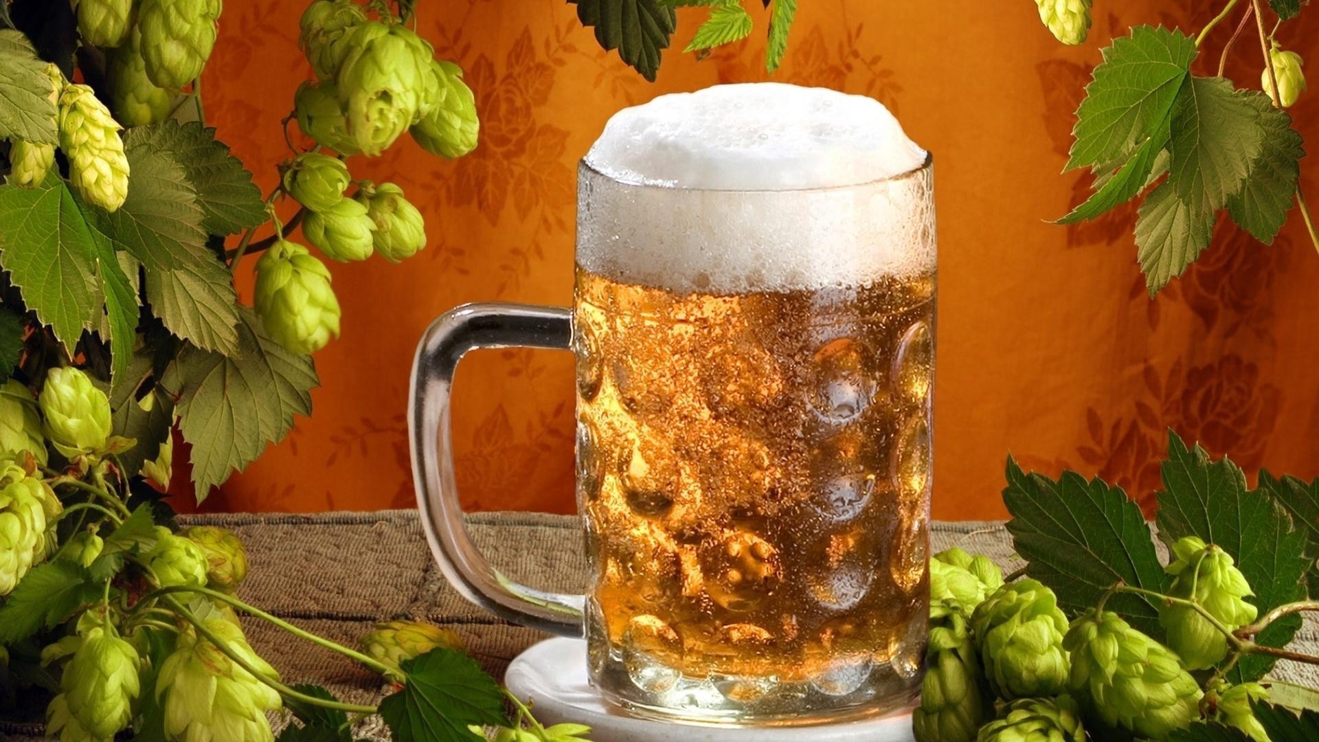 bebida cerveja vidro cervejaria bebida folha álcool bebida alcoólica caneca pub saudável comida