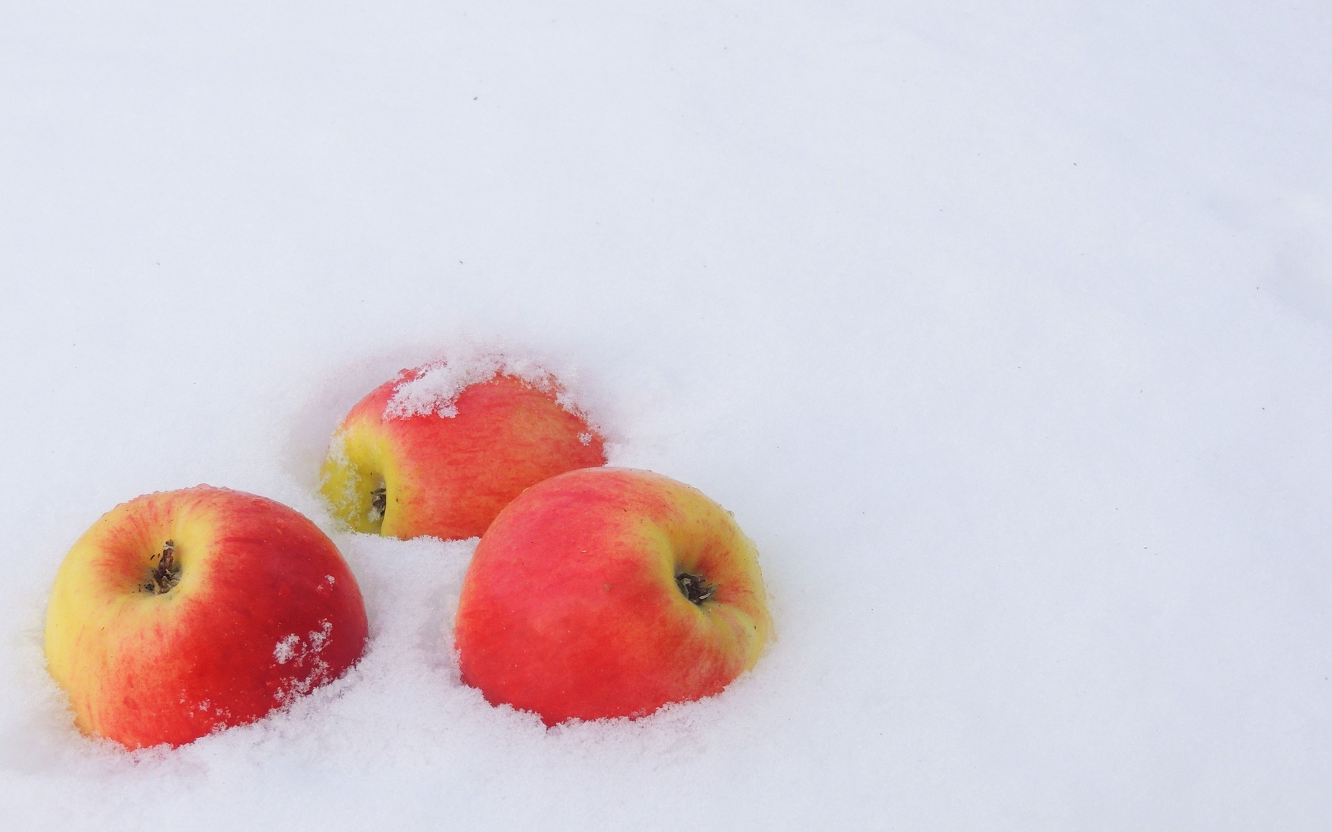 nourriture et boissons fruits alimentaire pomme nature santé grandir juteux délicieux alimentaire nature morte froid lumineux confiserie