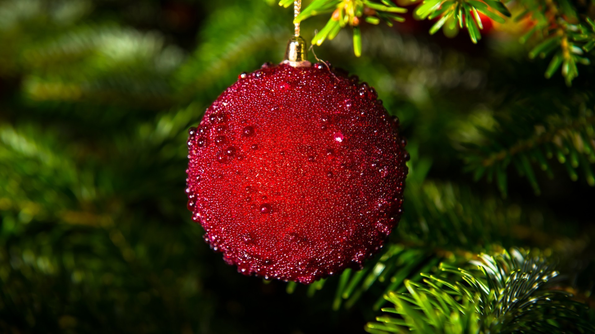 nouvel an noël hiver arbre pin boule evergreen branche suspendus sapin brille décoration vacances saison nature sphère couleur