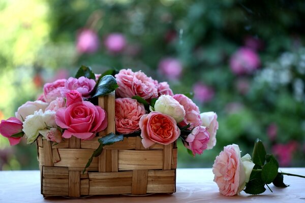 Blumenbeet für bessere Wirkung