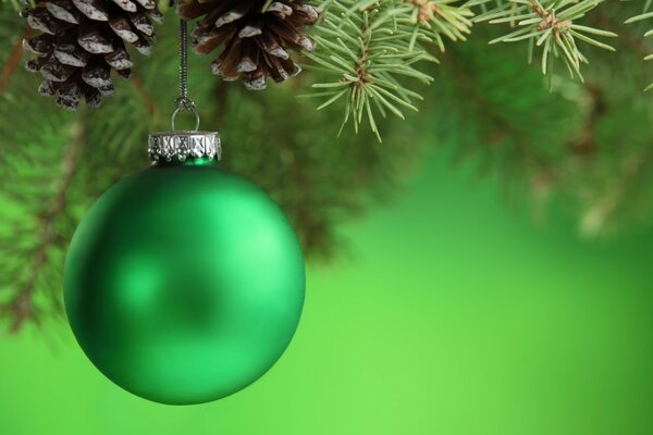 Calm green: a ball on a pine branch