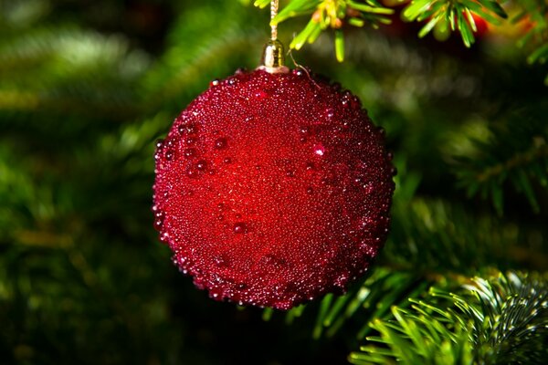 Juguete rojo de la Navidad en el árbol de Navidad