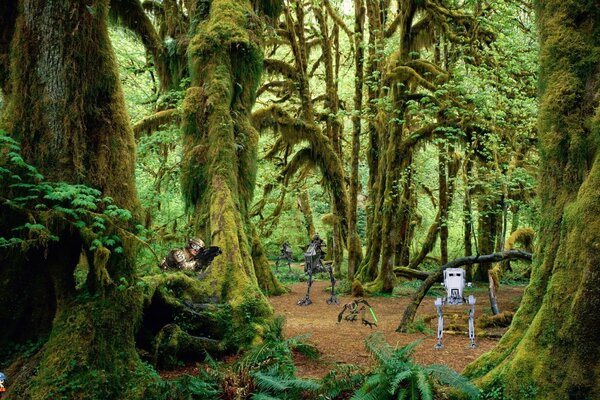 Star Wars embuscade dans la forêt tropicale