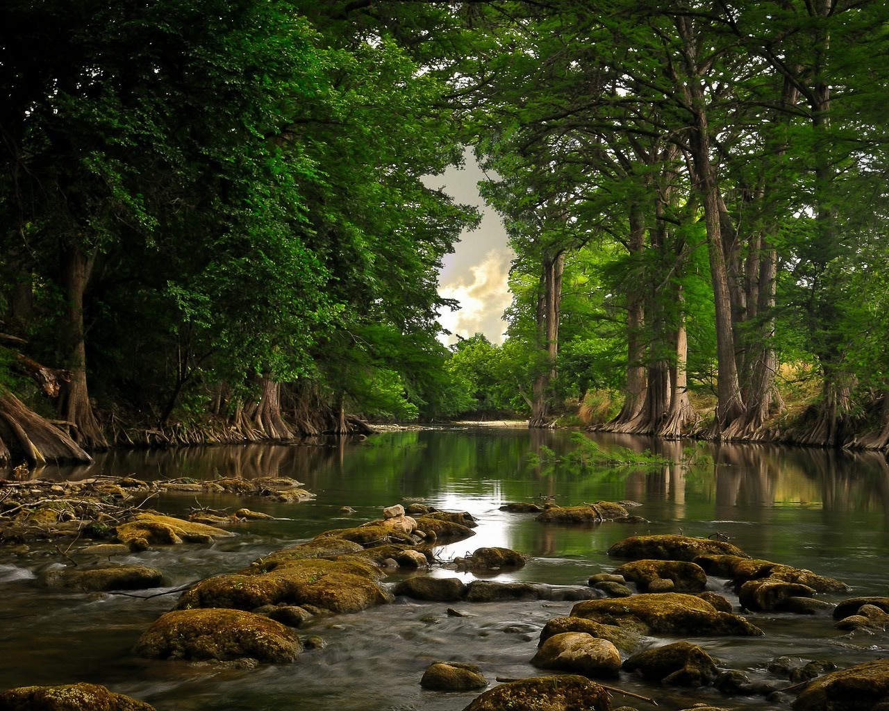 rivières étangs et ruisseaux étangs et ruisseaux eau nature bois rivière arbre feuille automne paysage voyage à l extérieur parc flux réflexion lac été