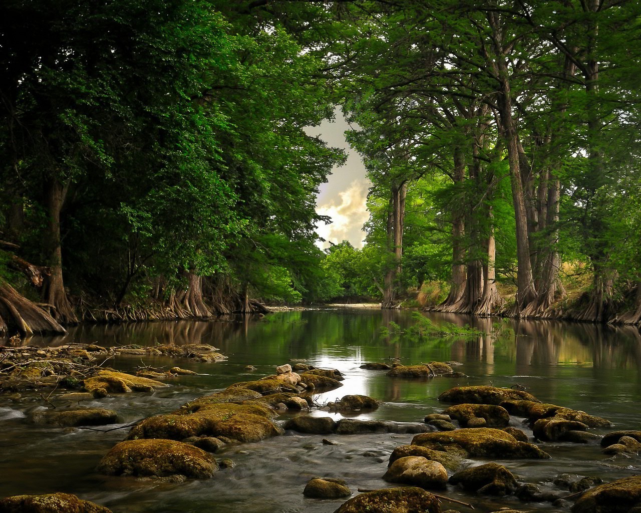 реки пруды и ручьи прудов и ручьев воды природа древесины река дерево лист осень пейзаж путешествия на открытом воздухе парк поток отражение озеро лето