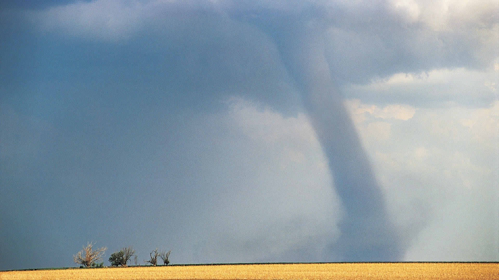 vento cielo paesaggio natura tempesta all aperto campo albero sole estate campagna nuvola meteo erba pioggia