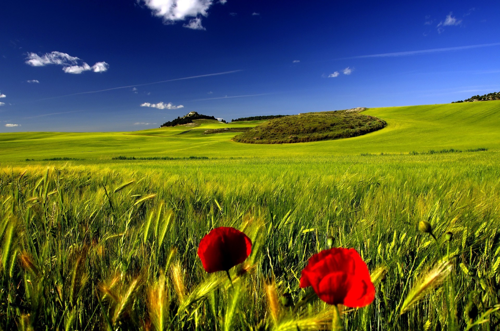 felder wiesen und täler feld des ländlichen bauernhof weide weizen gras heuhaufen landwirtschaft landschaft natur landschaft land sonne ernte getreide ackerland sommer wachstum himmel gutes wetter