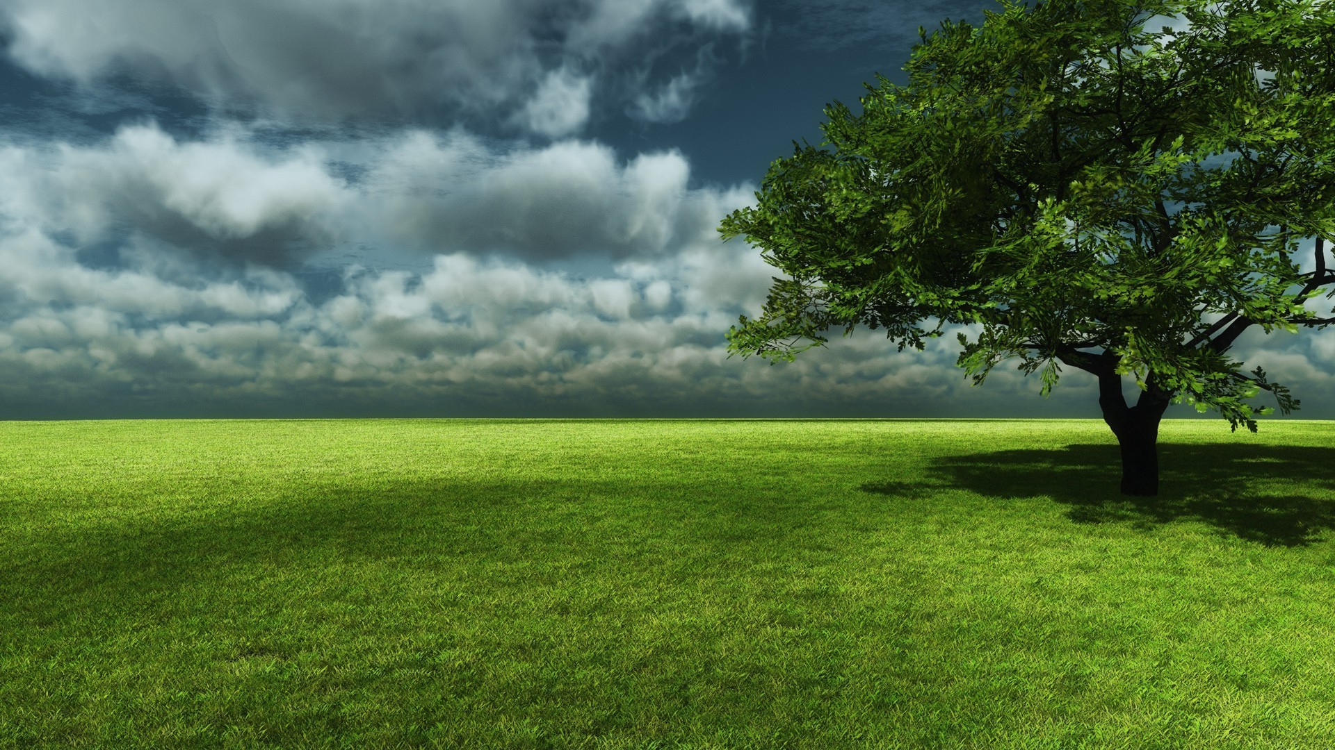 paysage paysage herbe nature champ foin arbre rural soleil campagne été ciel beau temps horizon à l extérieur aube lumineux pelouse