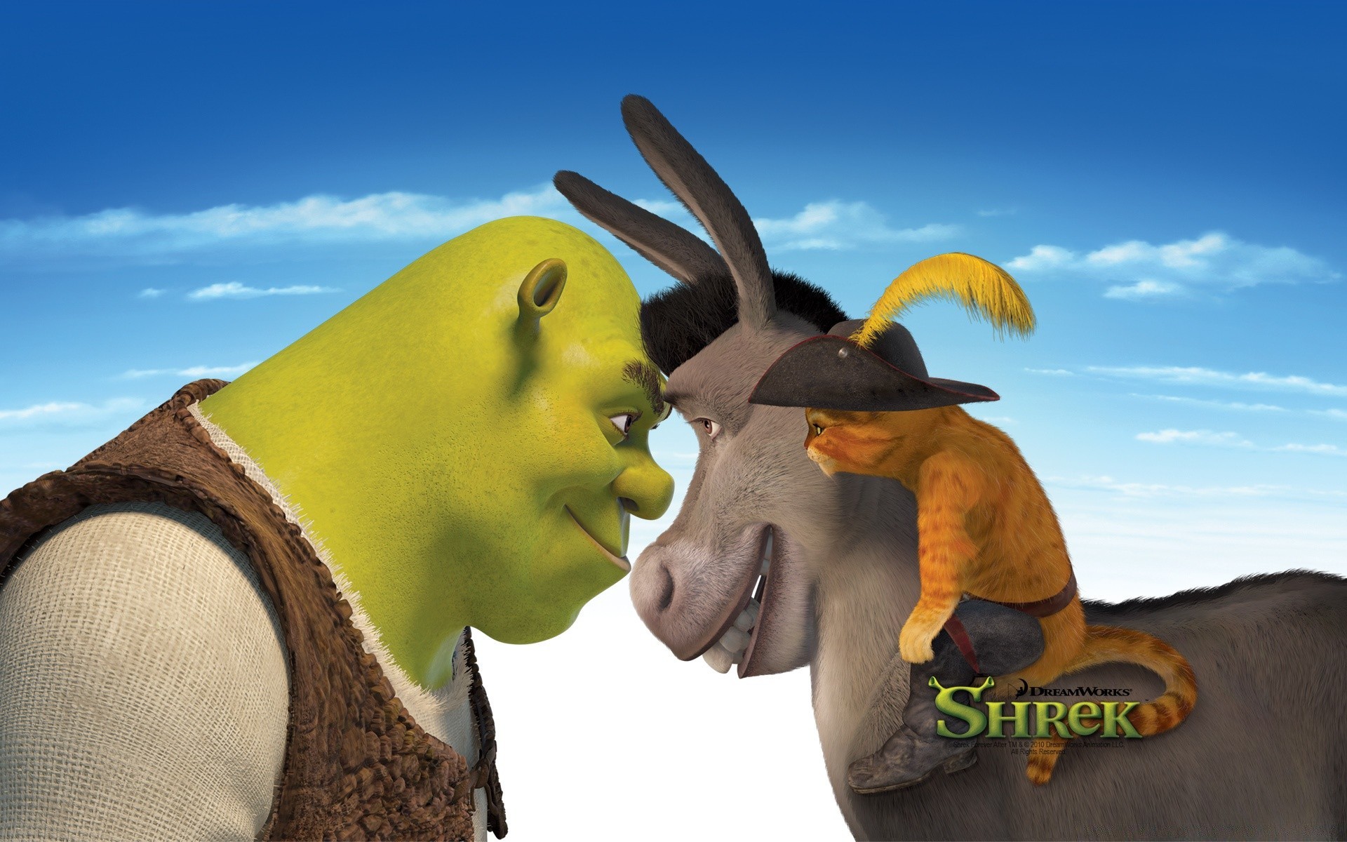 shrek ciel à l extérieur un voyage adulte homme