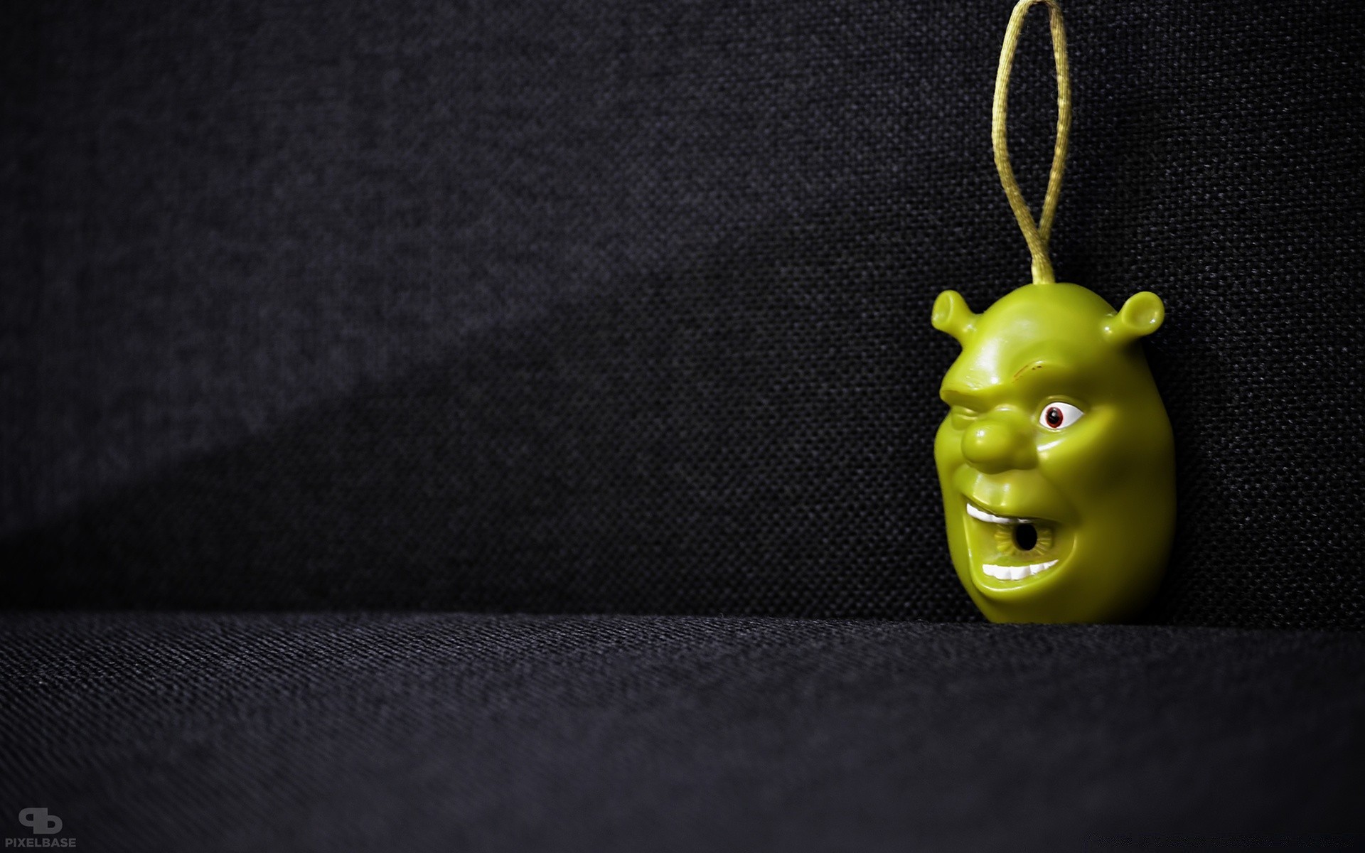 shrek martwa natura moda nosić biżuteria tekstura