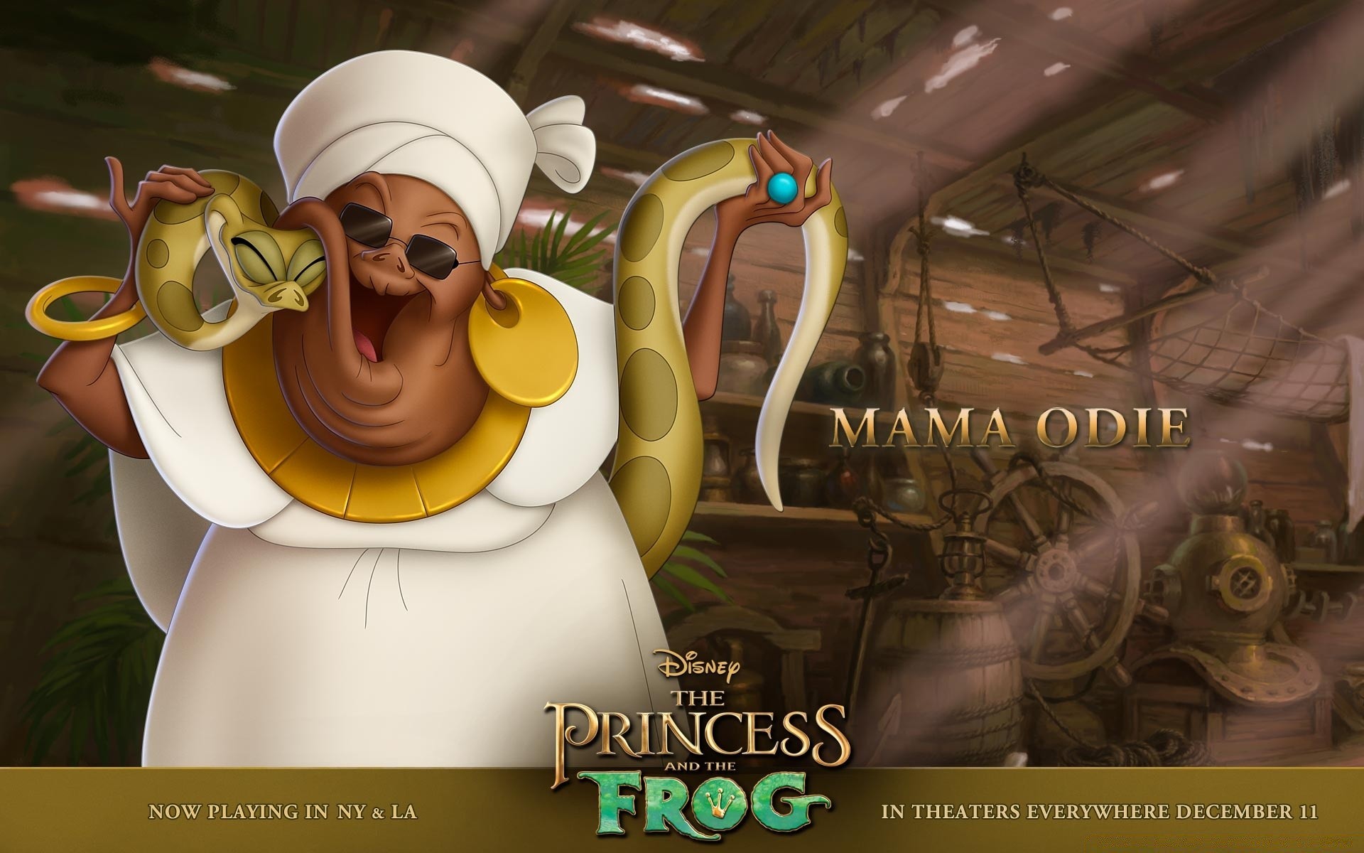 the princess and the frog indoors horizontal