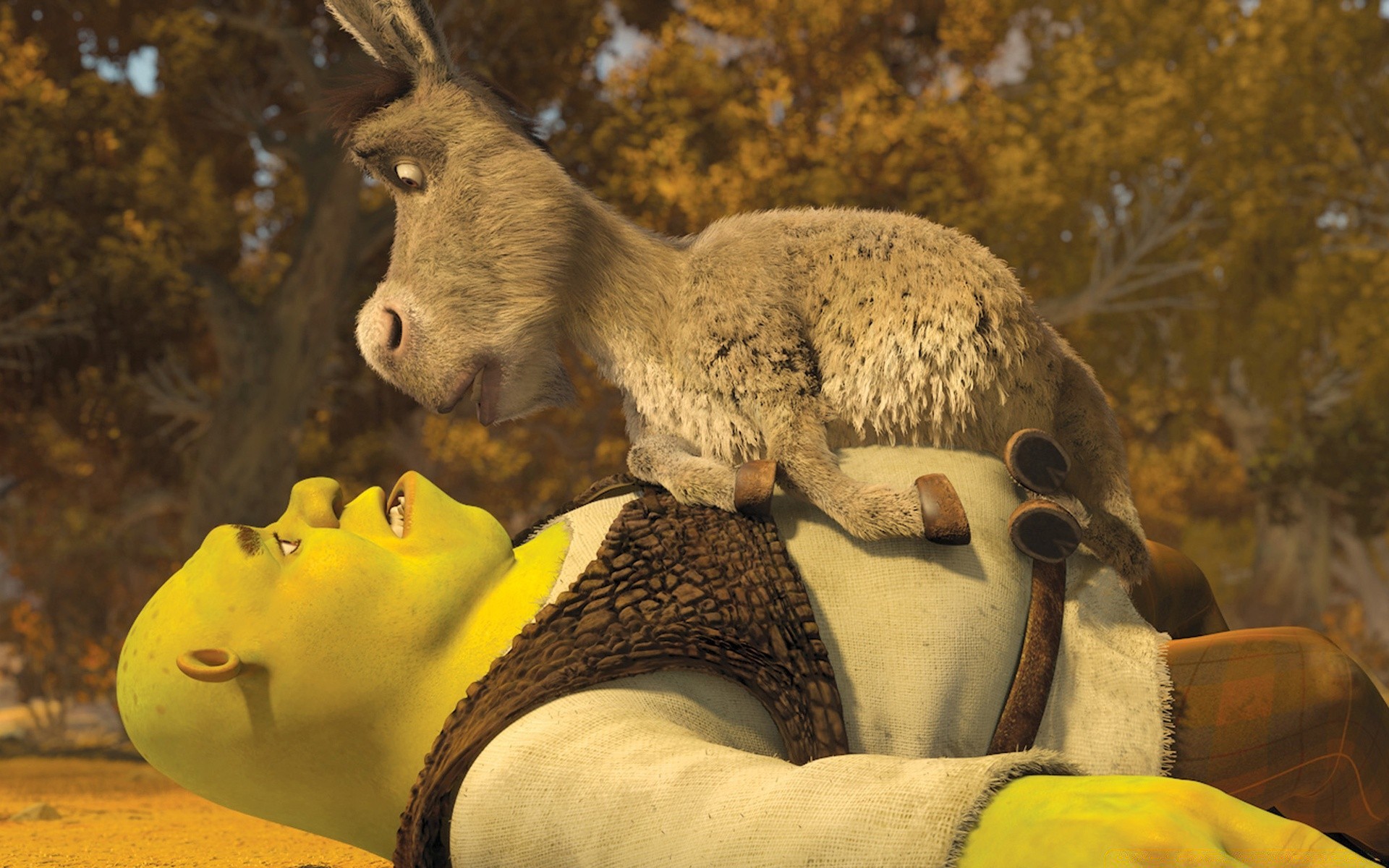 shrek ssak jeden dzika przyroda natura na zewnątrz