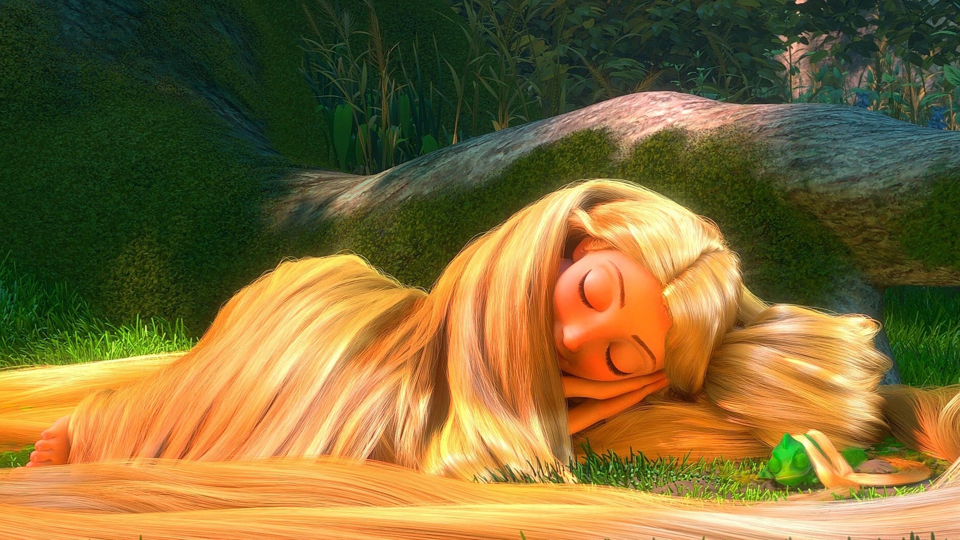 tangled doğa yaz çimen su açık havada gevşeme ahşap güzel