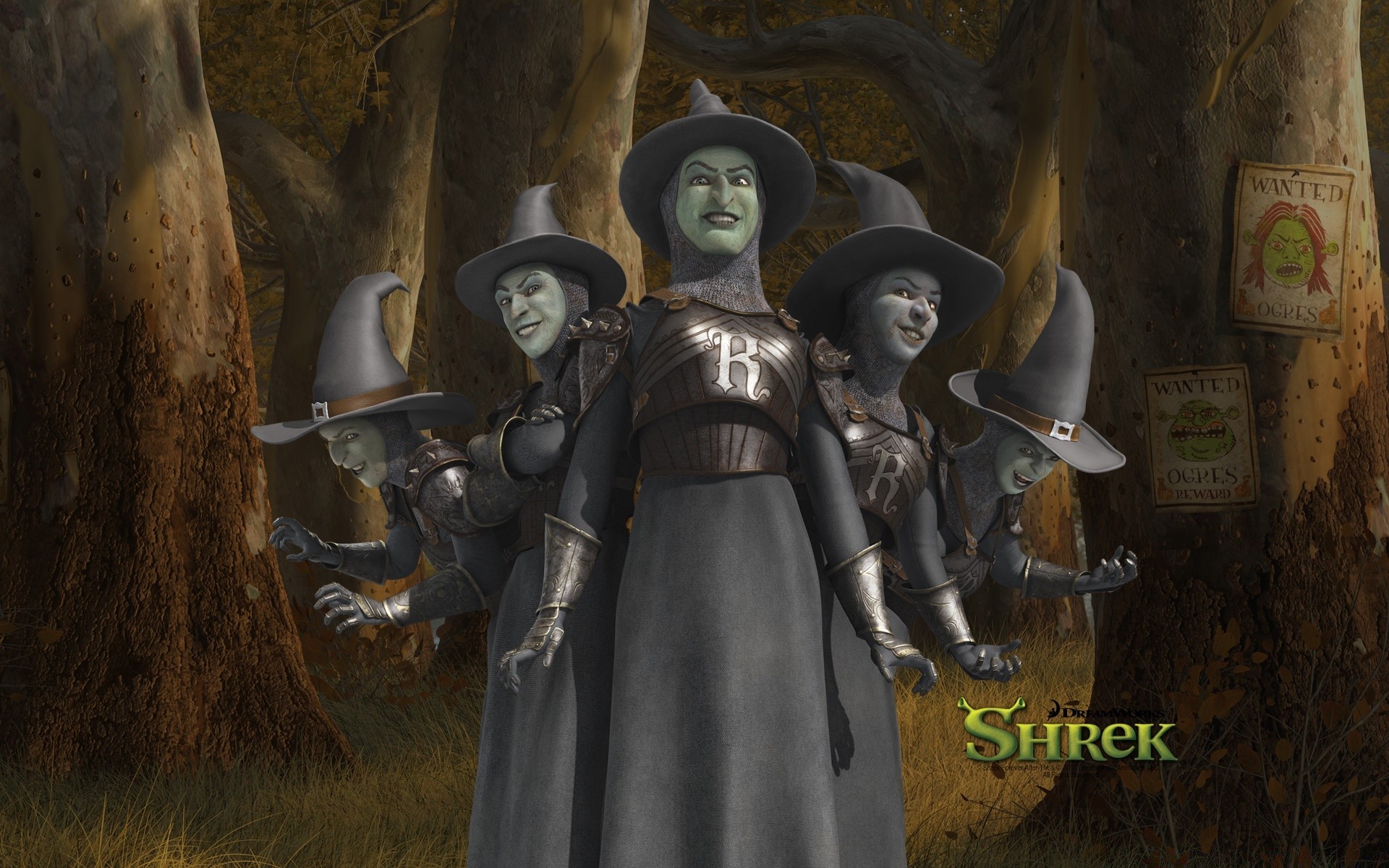 shrek woman adult man wear weapon indoors one sword helmet war