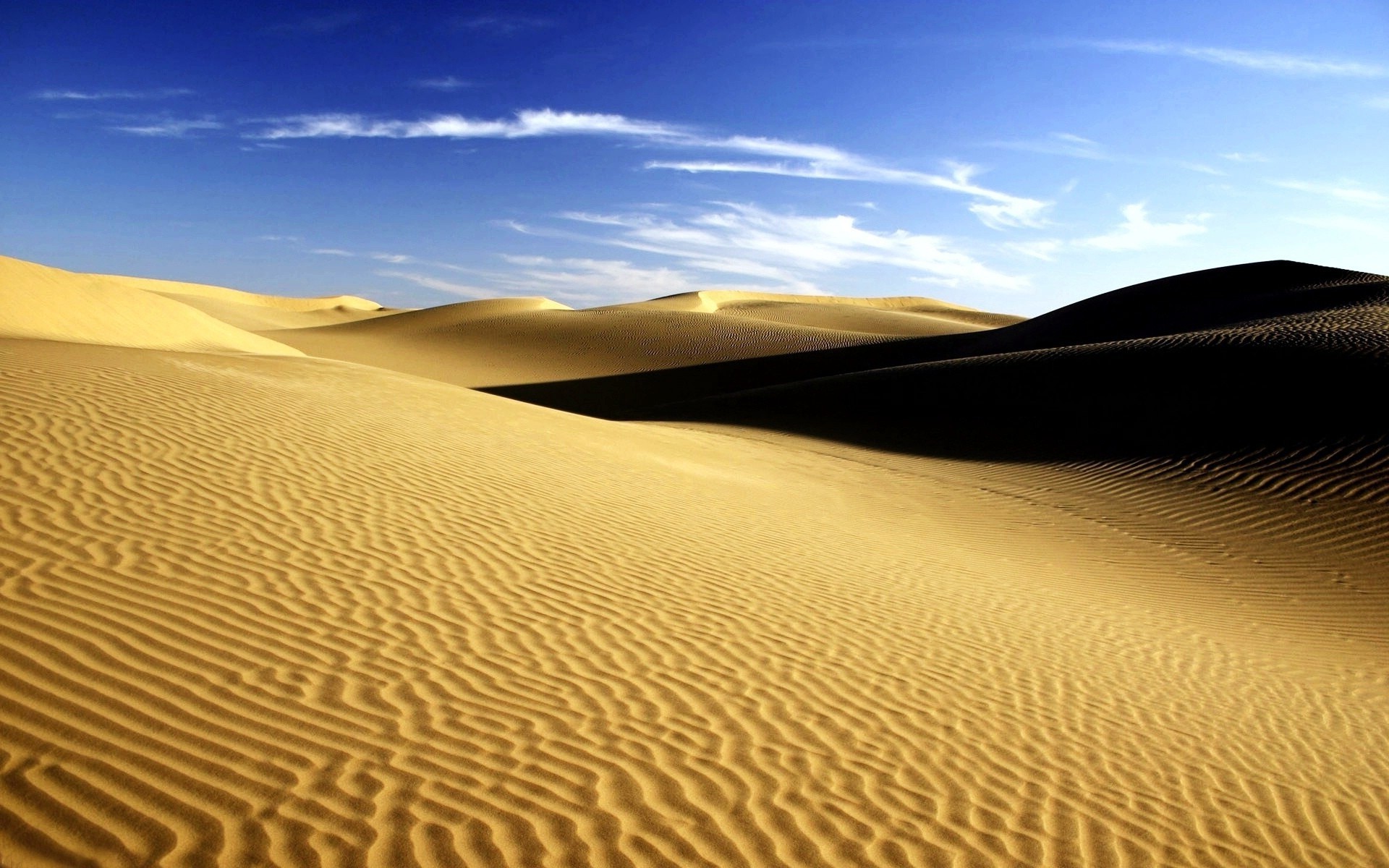 desert sand dune barren alone hot arid dry travel adventure sun beach footprint