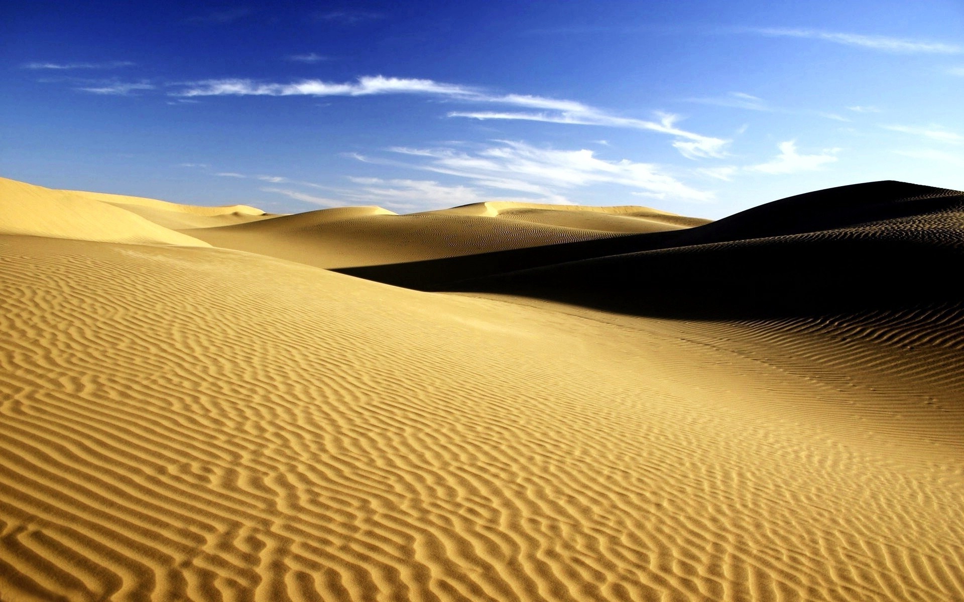 пустыни песок дюна бесплодной один горячая арид сухой путешествия приключения солнце пляж след