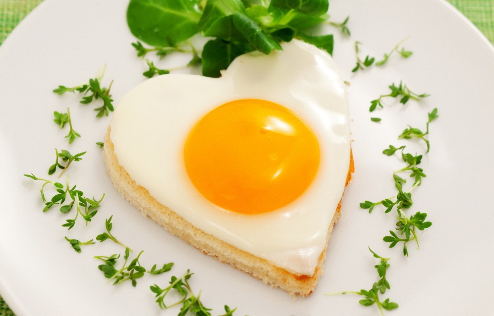 breakfast egg egg yolk food nutrition delicious lunch toast meal dawn cooking leaf bread dairy product plate butter dinner