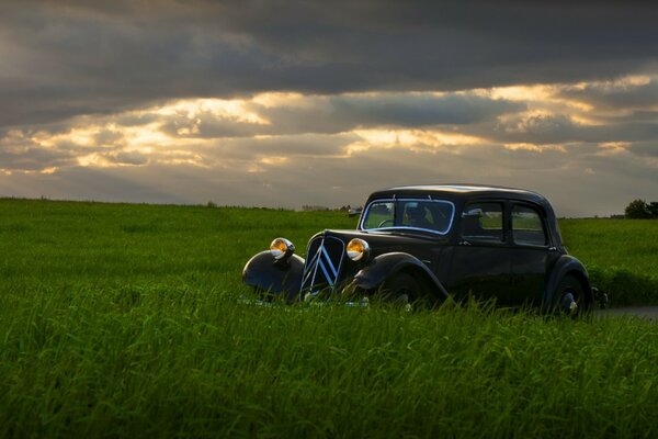 Retro car and green field