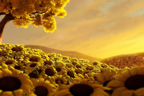 A field of yellow sunflowers near a yellow tree