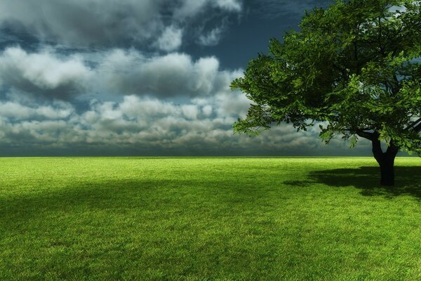 A tree standing alone in a green meadow